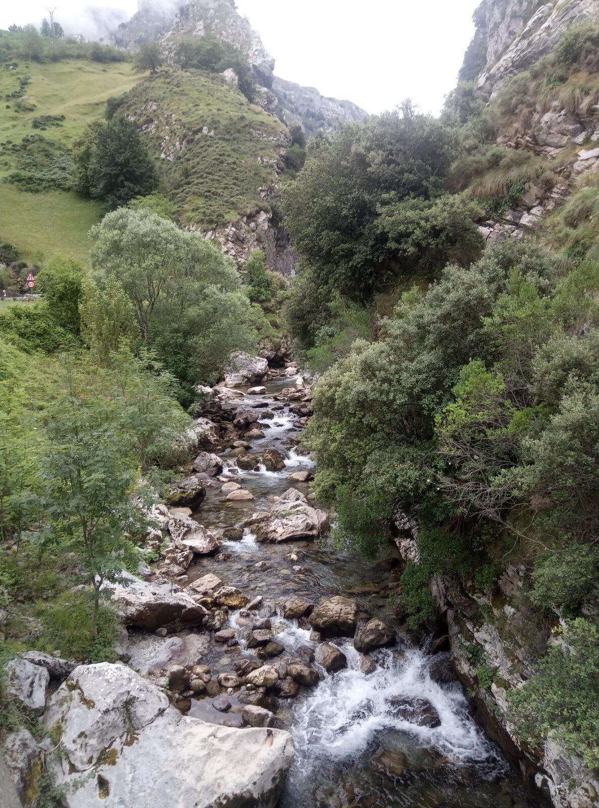IMG-20200714-WA0175.jpg