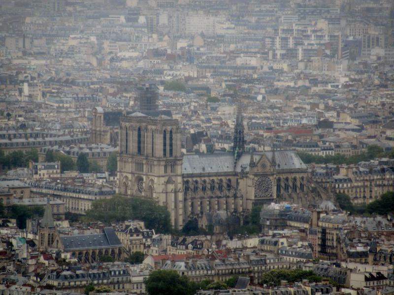 IMG (22)