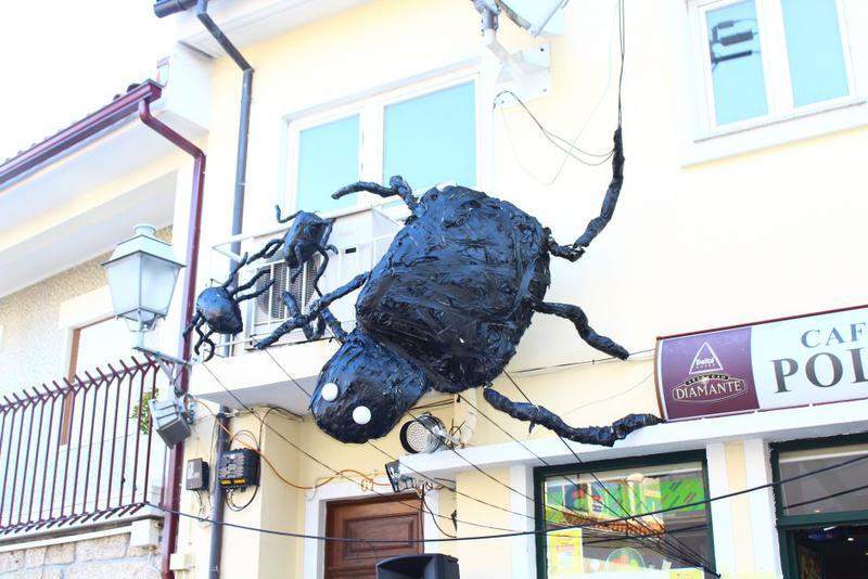 IMG 3553