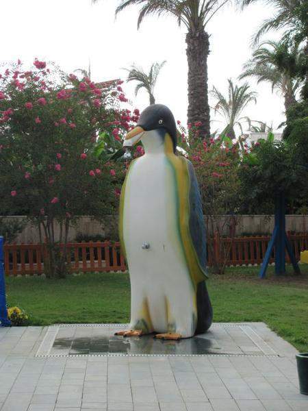 IMG 3721