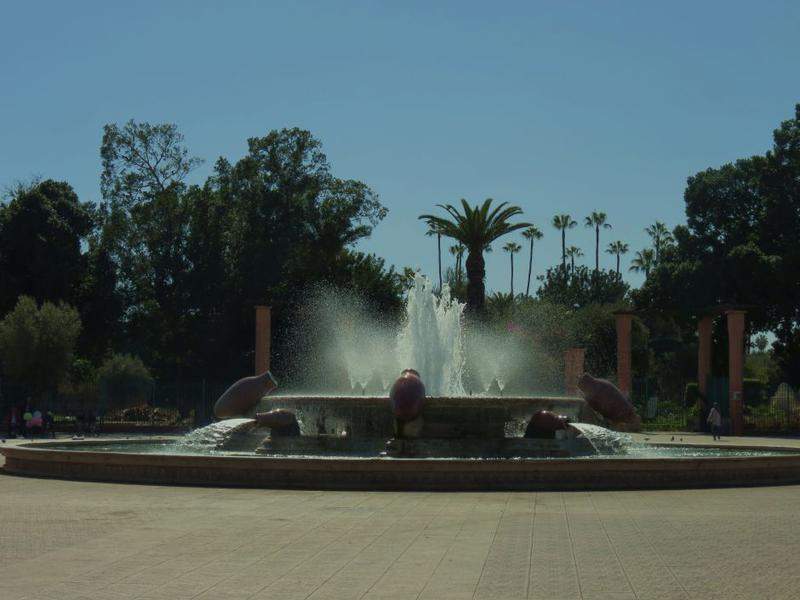 IMG 3848