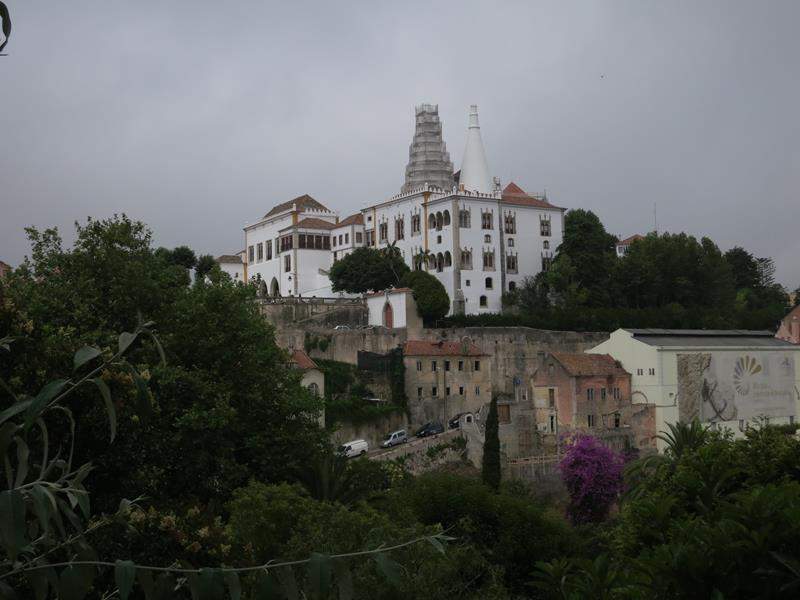 IMG 3970 (Copy)