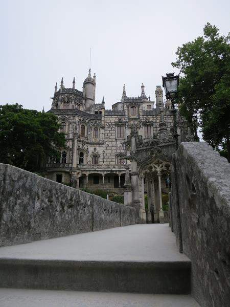 IMG 3981 (Copy)