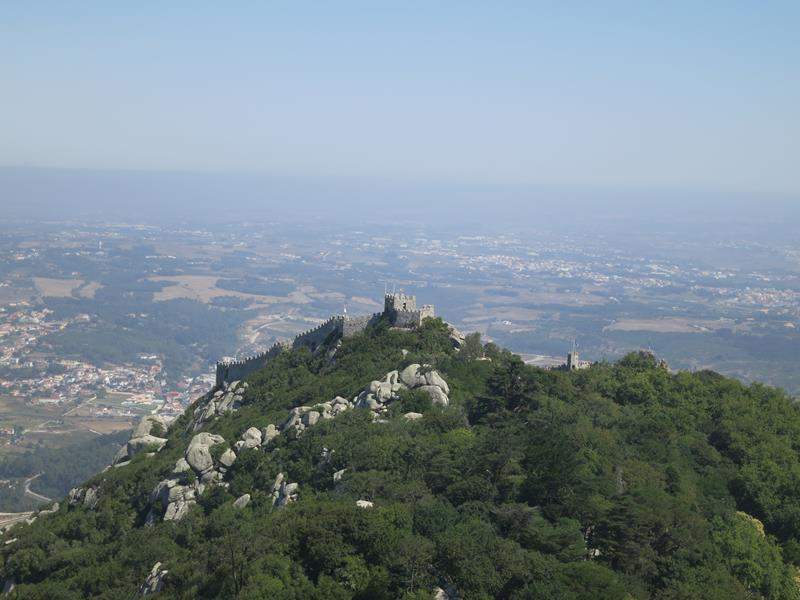IMG 4437 (Copy)