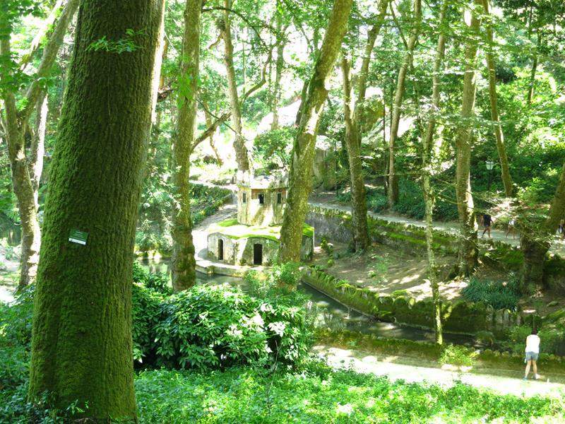 IMG 4523 (Copy)
