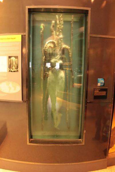 IMG 4724