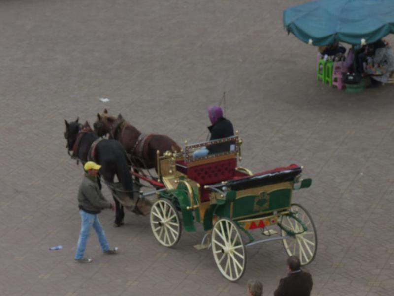 IMG 4863