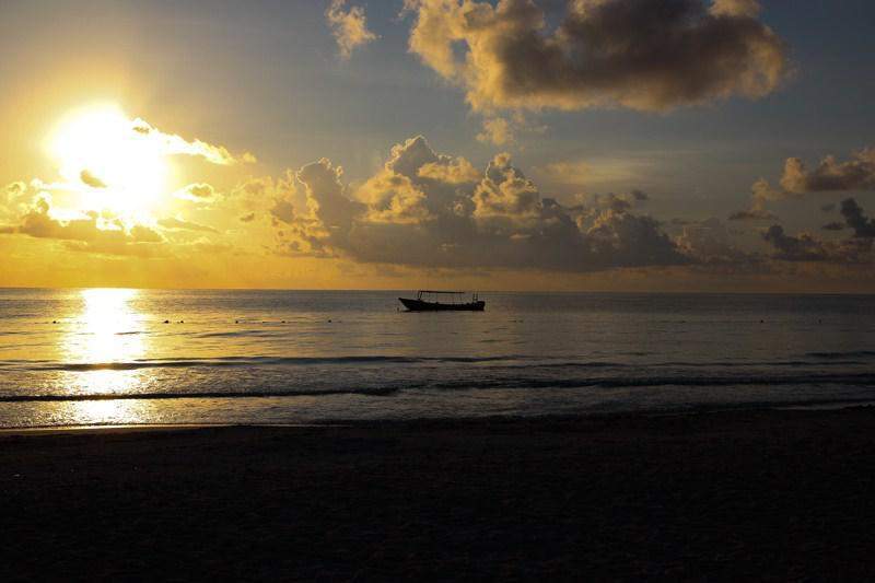 IMG 5295 (Copy)