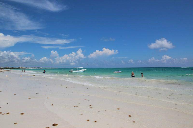 IMG 5956 (Copy)