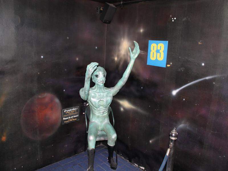 IMG 6523