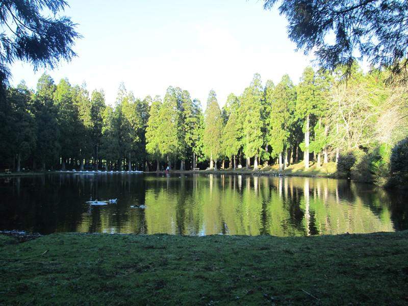 IMG 7763