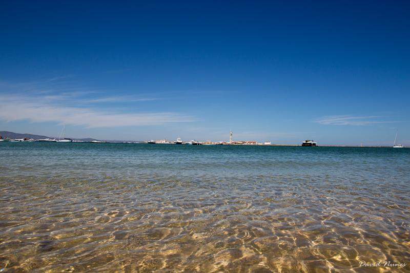 IMG 9498 (Copy)