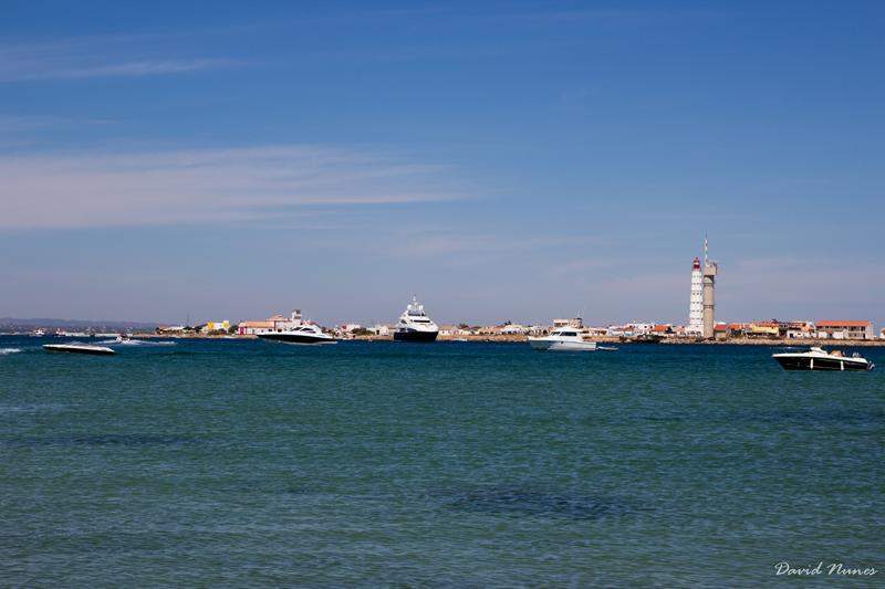 IMG 9500 (Copy)