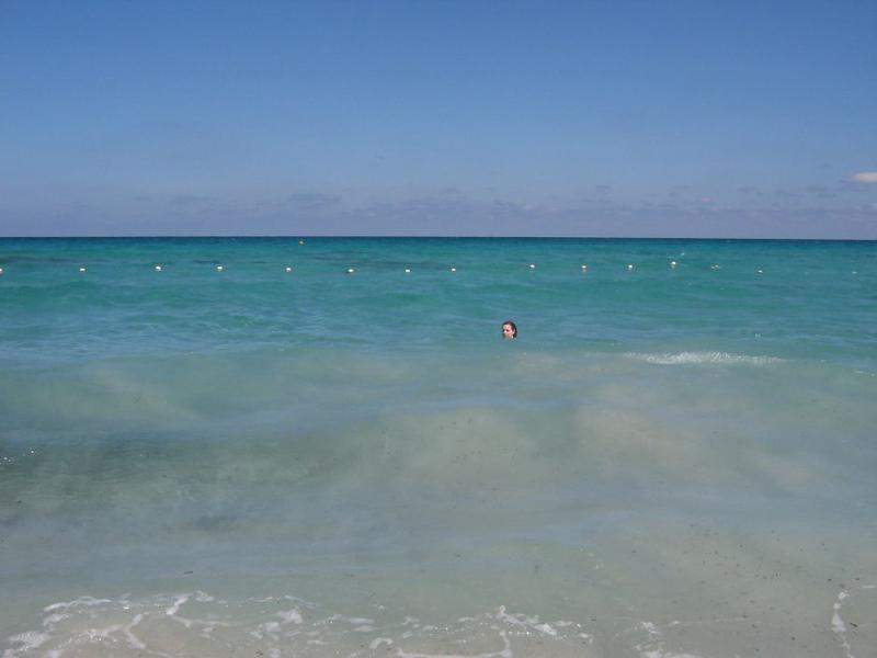 IMG 9540