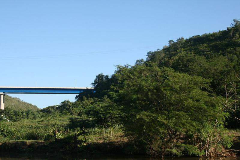 IMG 9755
