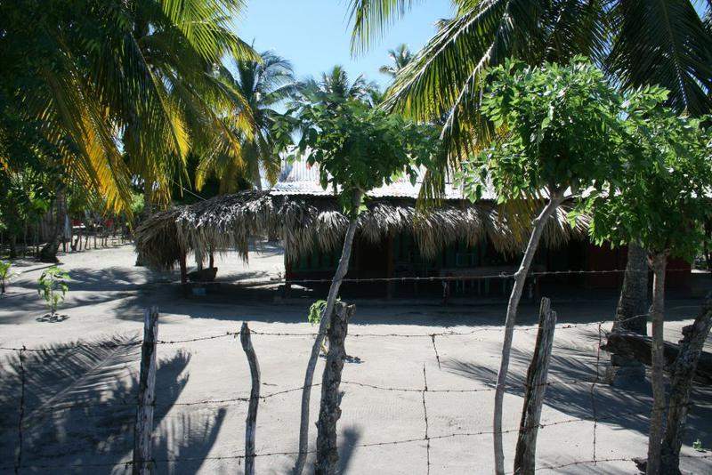 IMG 9823