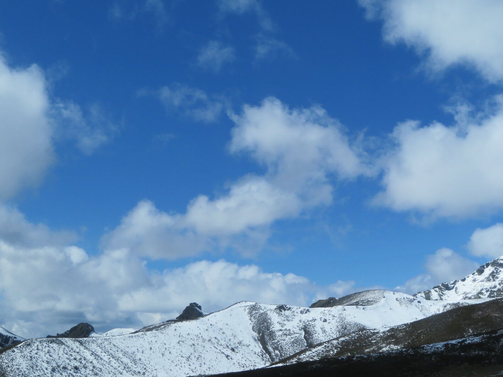 IMG_0386.JPG