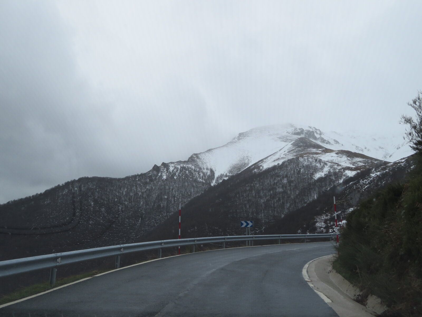 IMG_0478.JPG