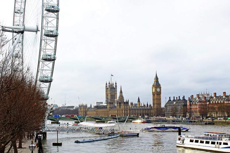 IMG_0538 (2)