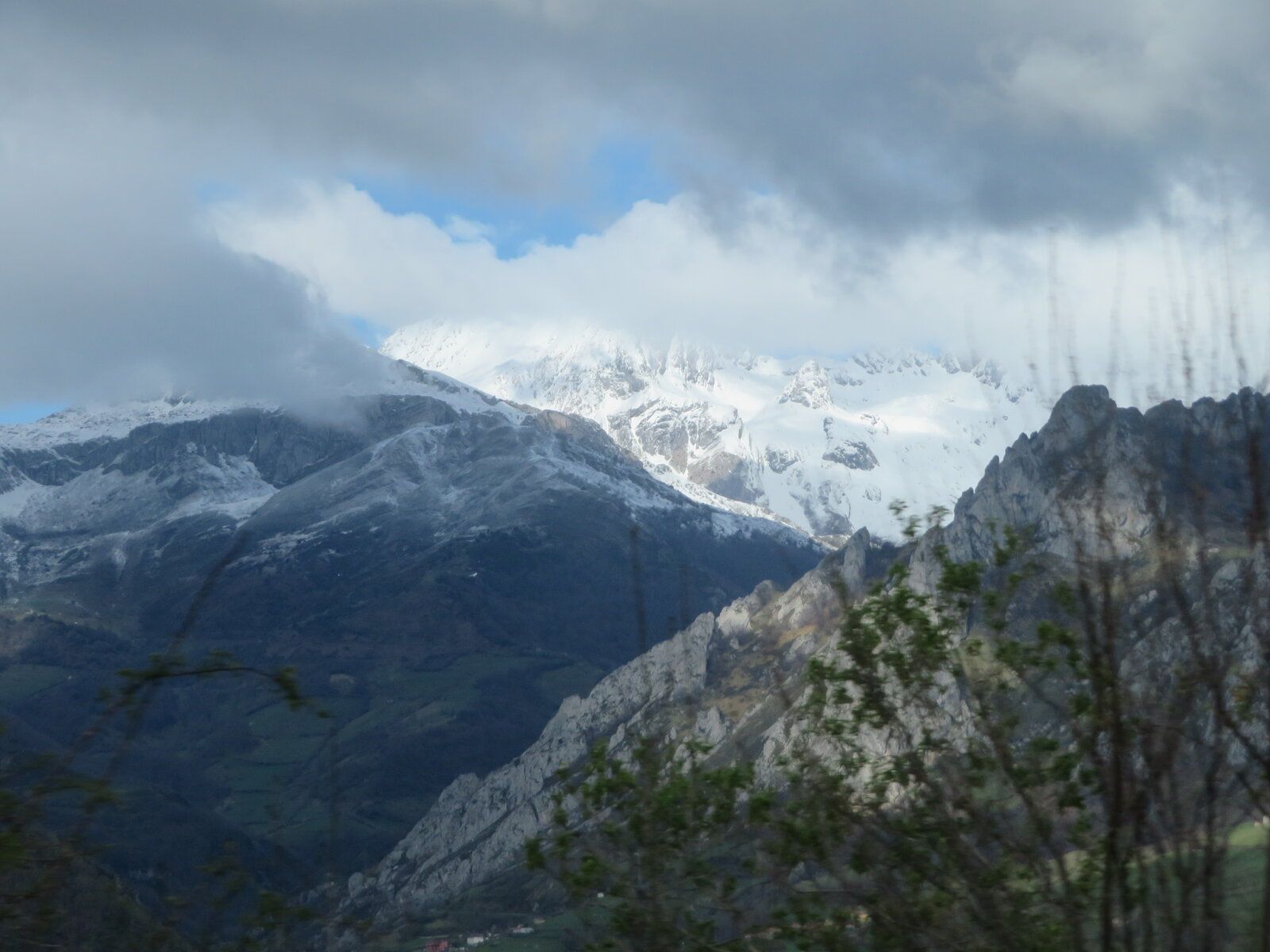 IMG_0615.JPG