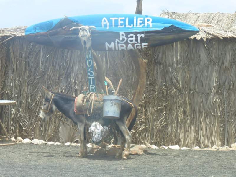 IMG_0911