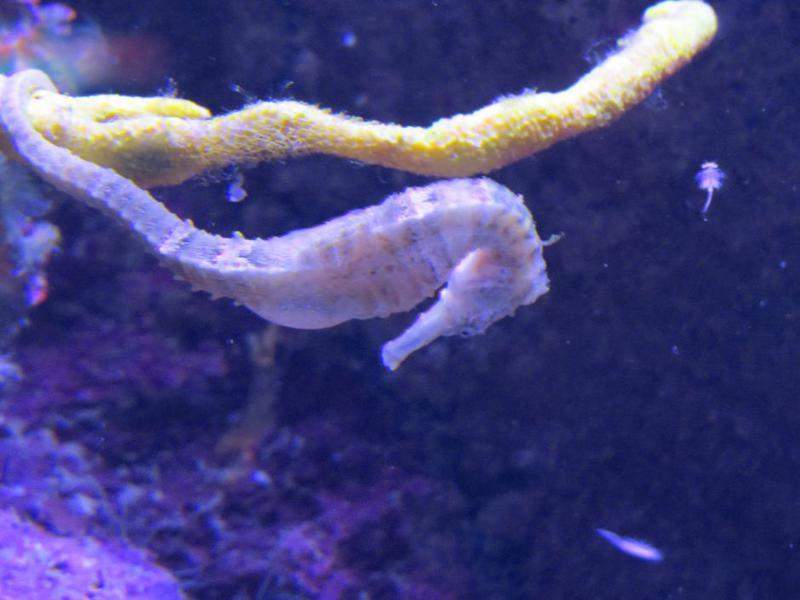IMG_1168.JPG