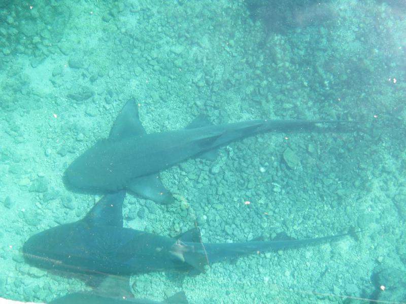 IMG_1199.JPG