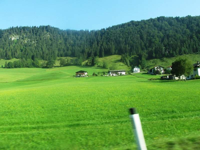 IMG_1276