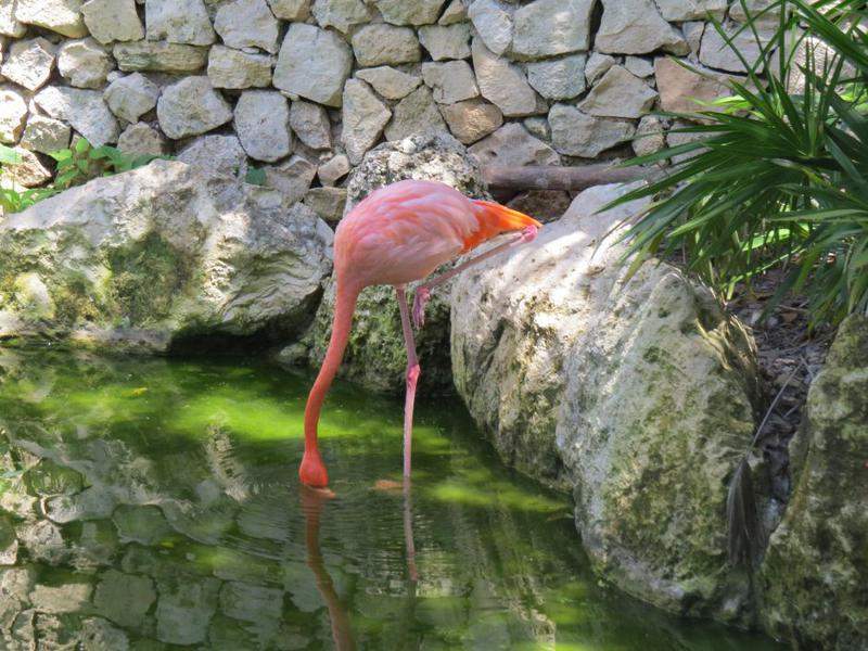 IMG_1308.JPG