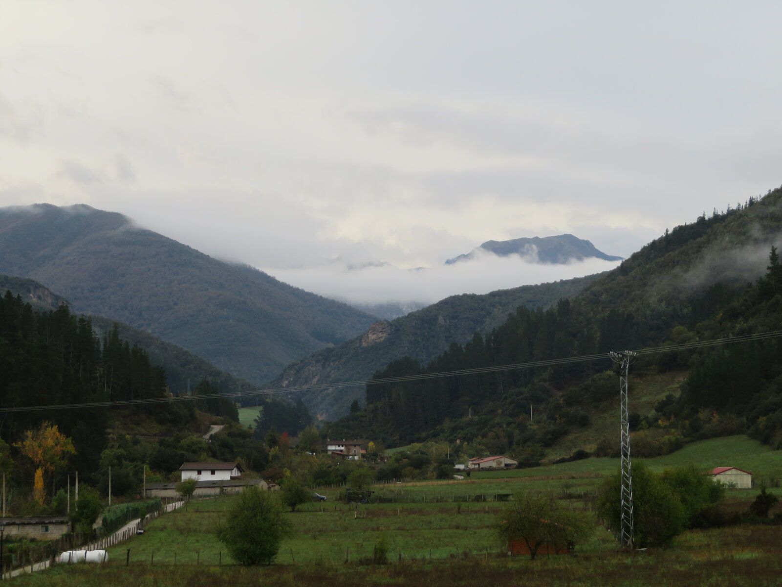 IMG_1407.JPG