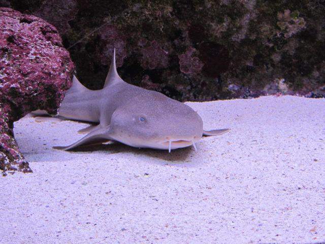 IMG_1505.JPG
