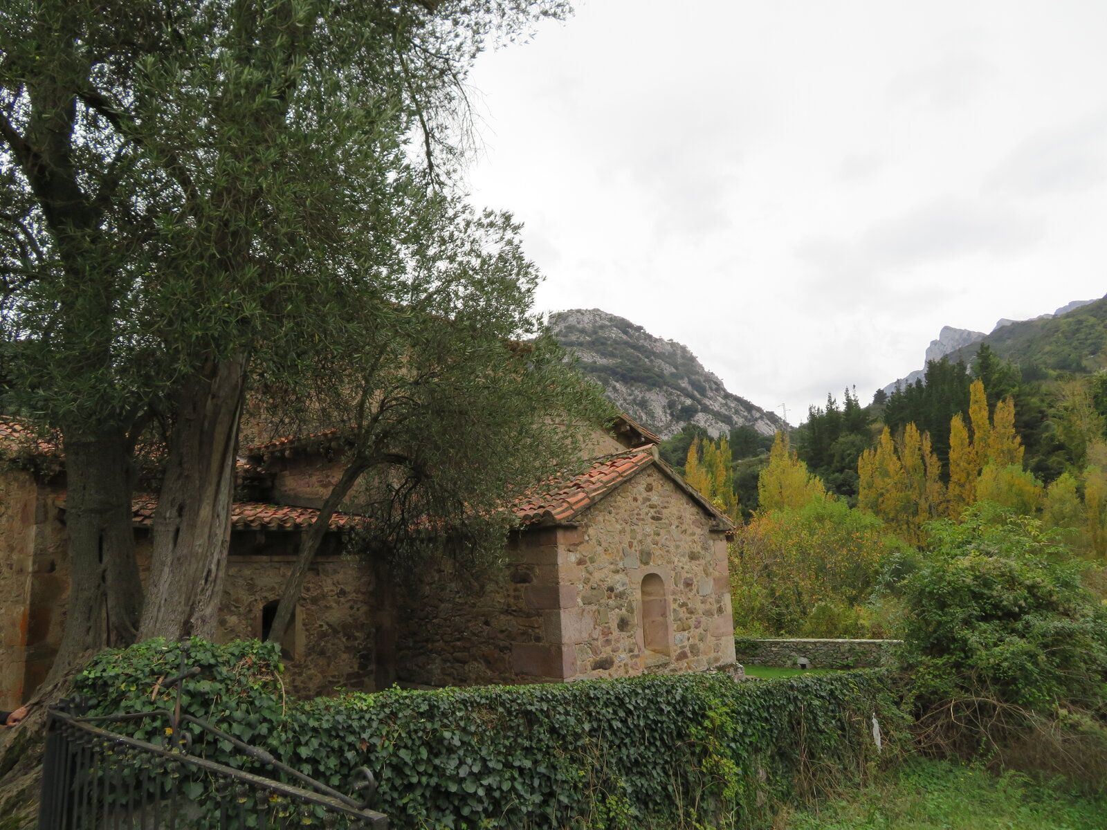 IMG_1509.JPG