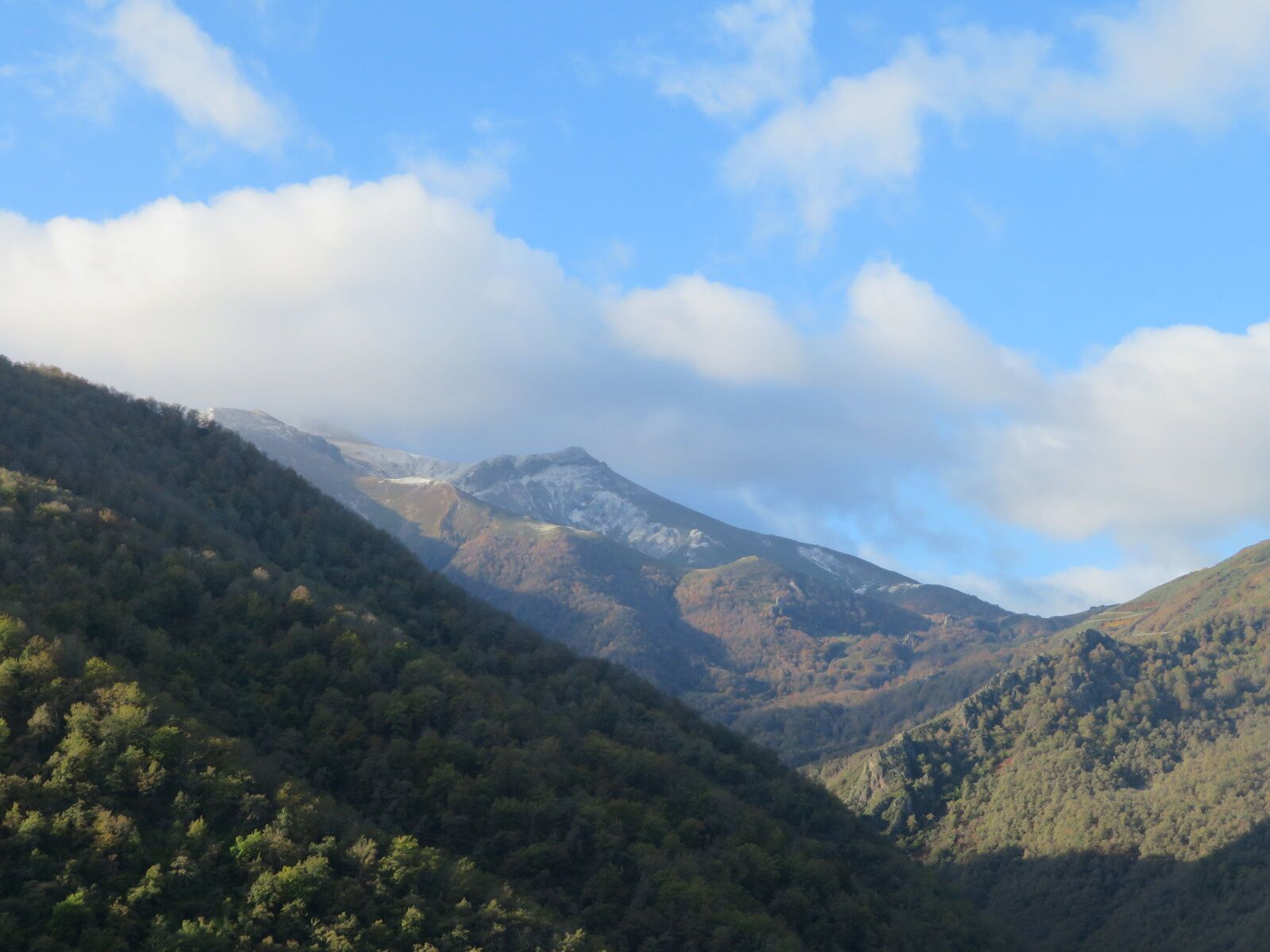 IMG_1520.JPG