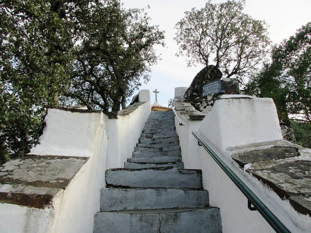 IMG_1920 - Cópia
