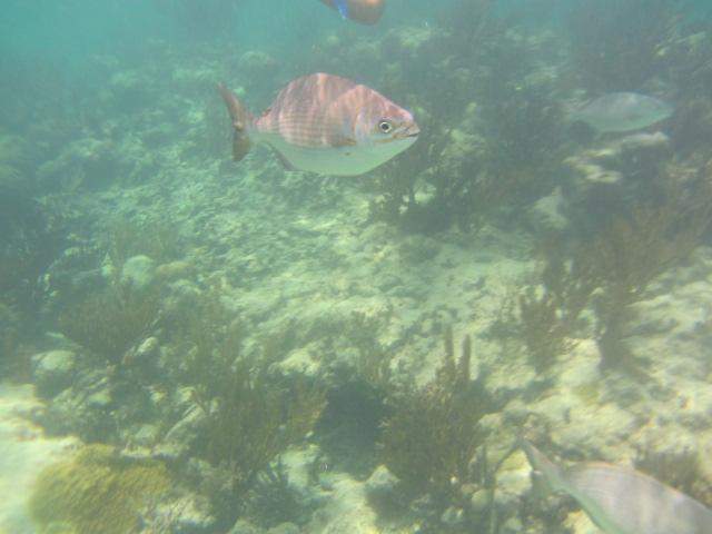 IMG_1927.JPG
