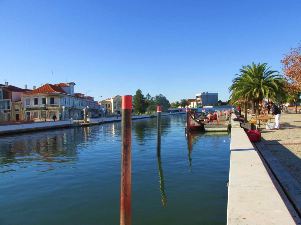 IMG_1977