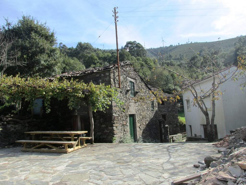 IMG_2010