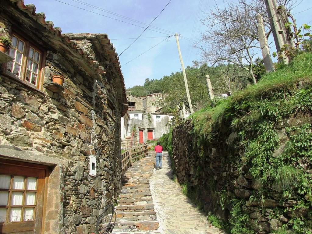 IMG_2011