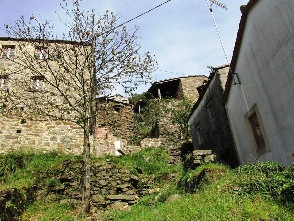 IMG_2015