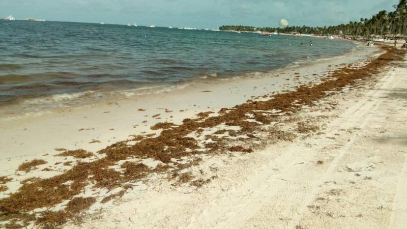 IMG_20150831_155459
