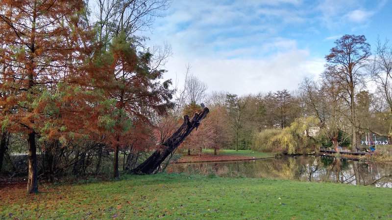 IMG_20151126_112548703_HDR