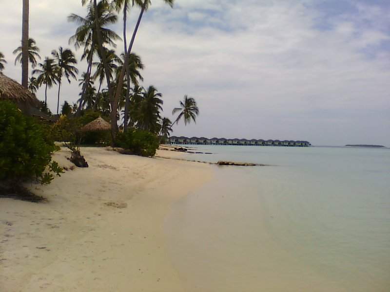 IMG_20160304_064018