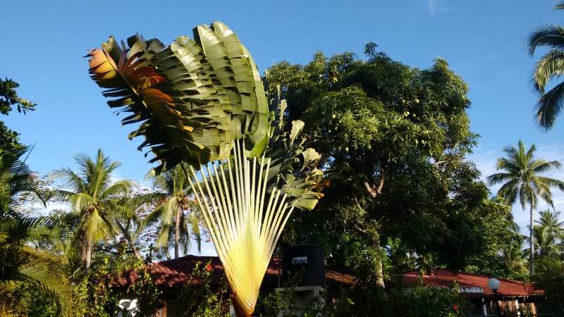 IMG_20160528_131857985