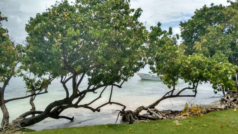 IMG_20160528_185222176_HDR