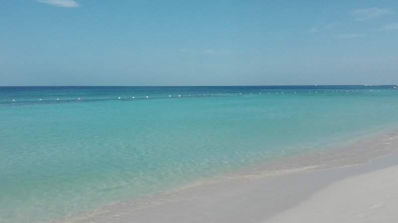 IMG_20160729_082500