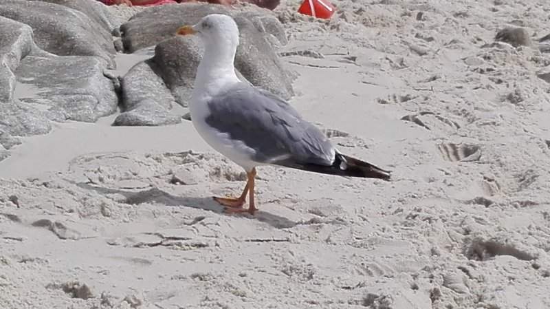 IMG_20160907_150157