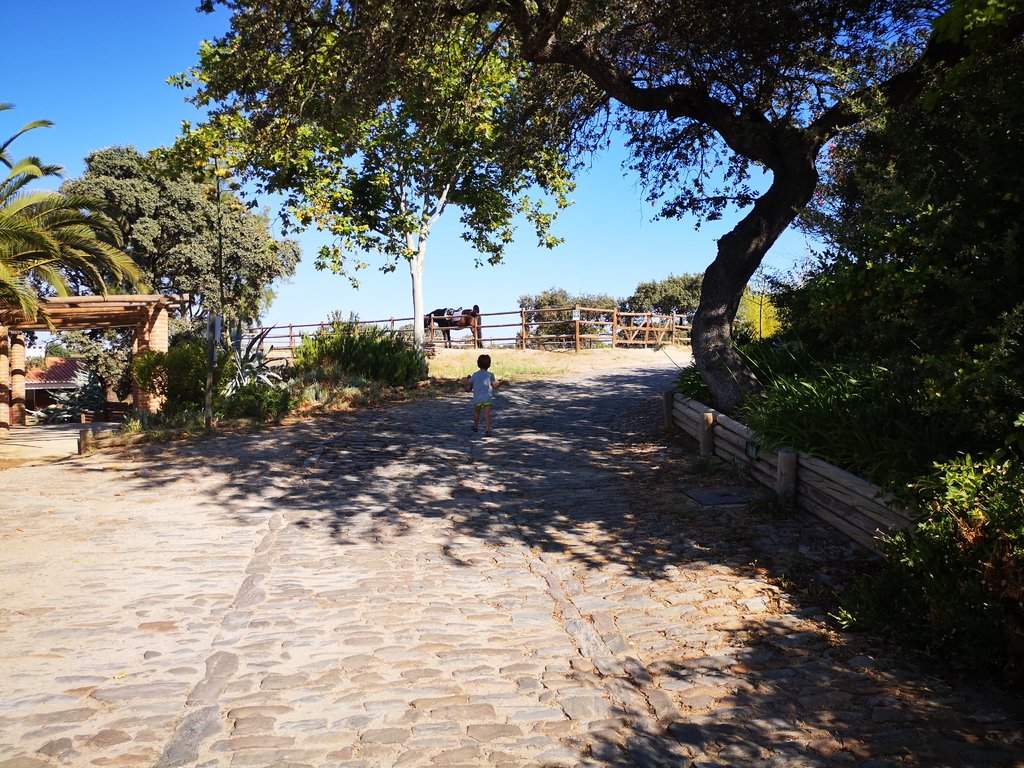 IMG_20180808_095648