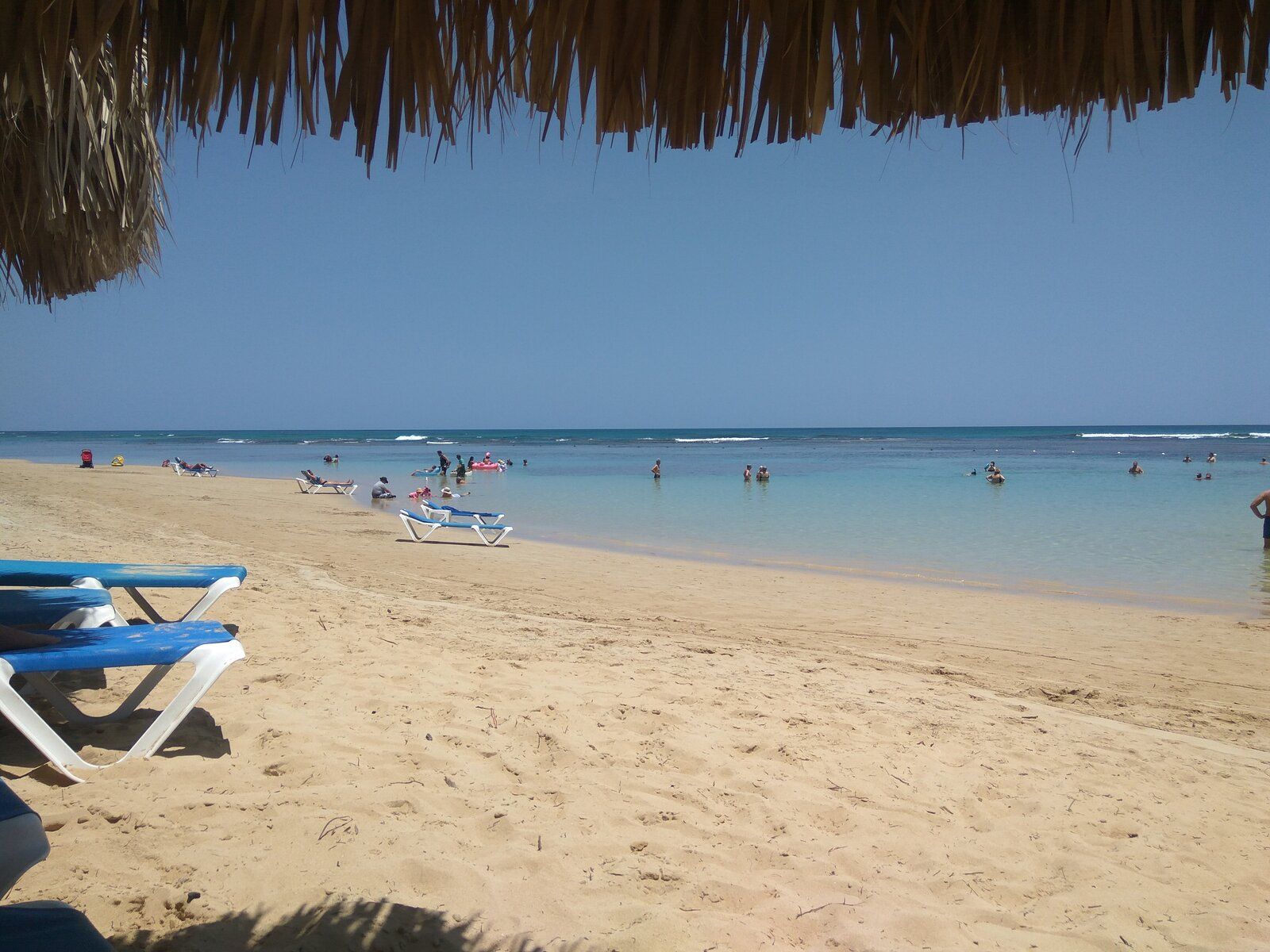 IMG_20190514_114651.jpg