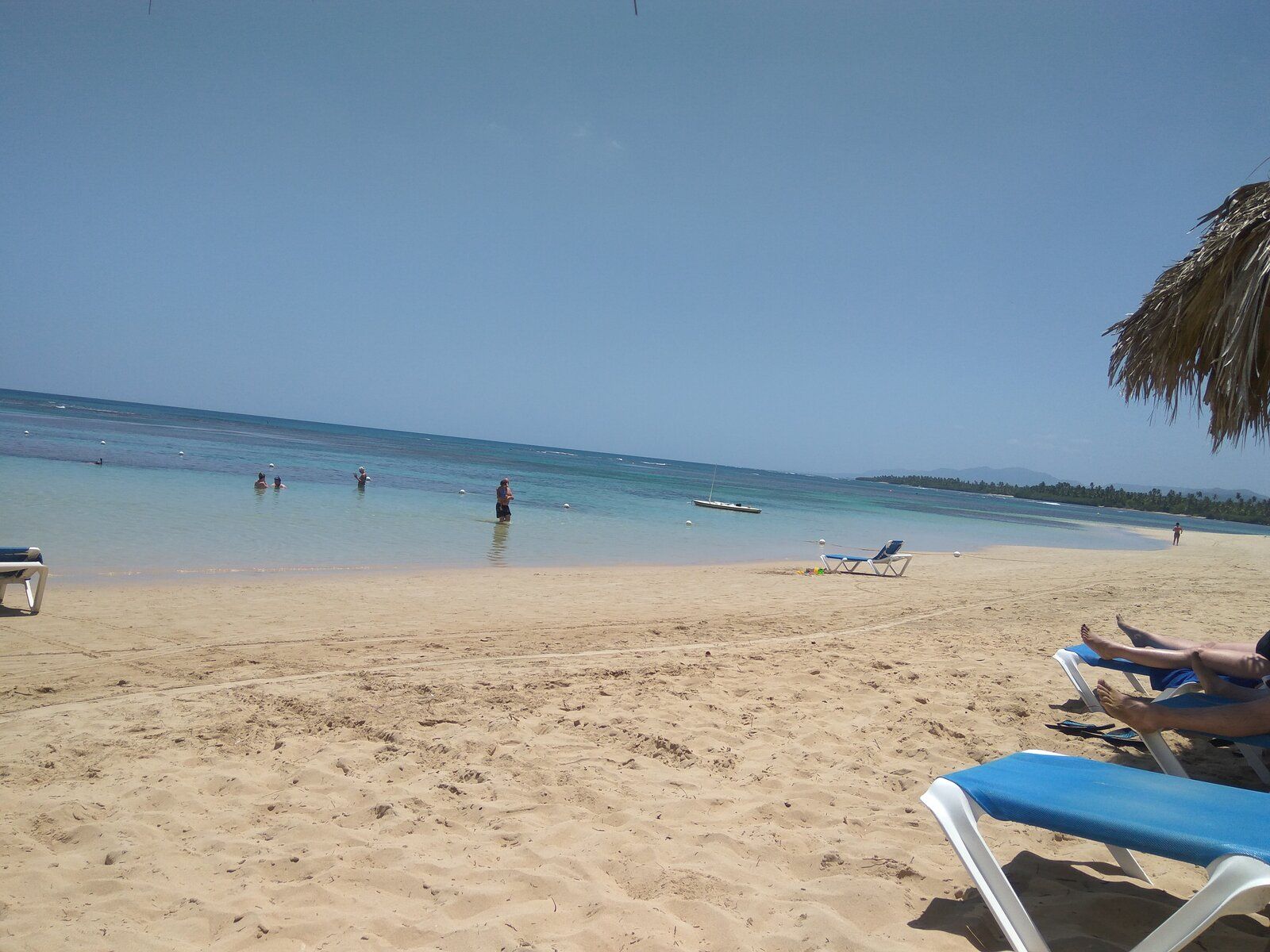 IMG_20190514_114656.jpg