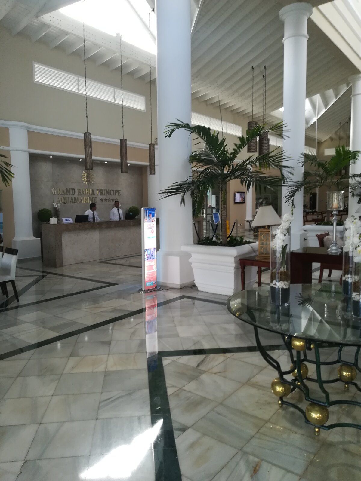 IMG_20190627_074905.jpg